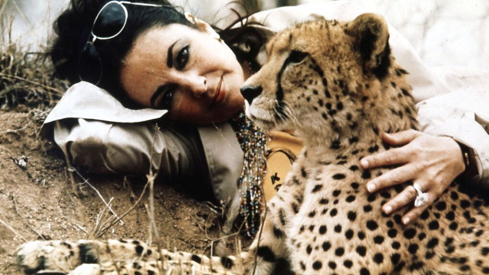 elizabeth taylor